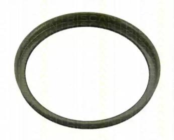 Triscan 854029410 Sensor wheel