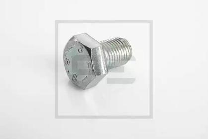 PE Automotive 010.303-00A Screw