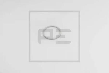 PE Automotive 011.058-00A Сальник