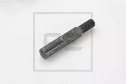 PE Automotive 011.117-00A Цапфа