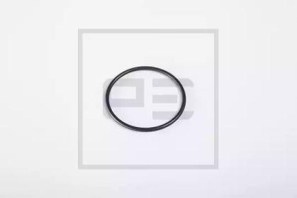 PE Automotive 011.273-00A Сальник