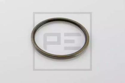 PE Automotive 011.309-00A Dichtring