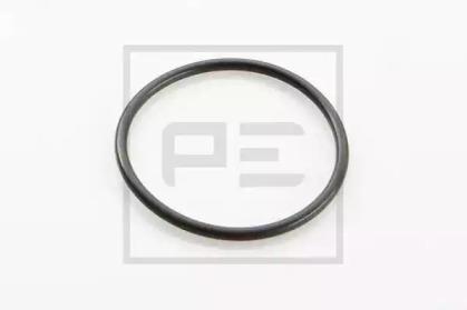 PE Automotive 011.319-00A Dichtring