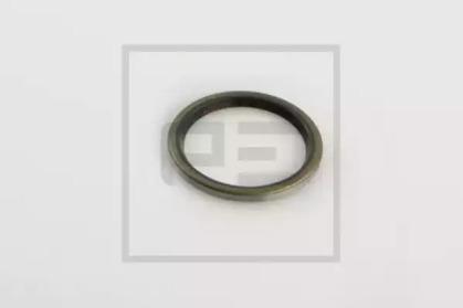 PE Automotive 011.426-00A Dichtring