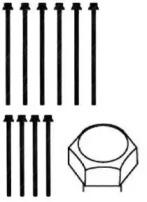 Wilmink Group WG1181022 Болт гбц Wilmink Group WG1181022 Болт гбц