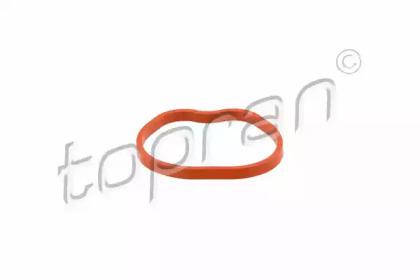 Topran 302 263 Gasket graphite