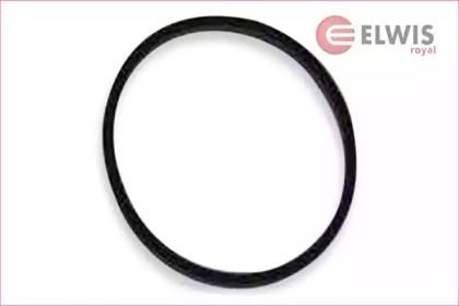 Elwis Royal 0256066 Gasket graphite Elwis Royal 0256066 Gasket graphite