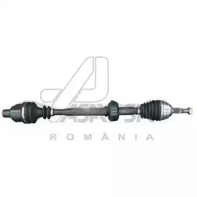 Asam 30213 Drive shaft assy Asam 30213 Drive shaft assy