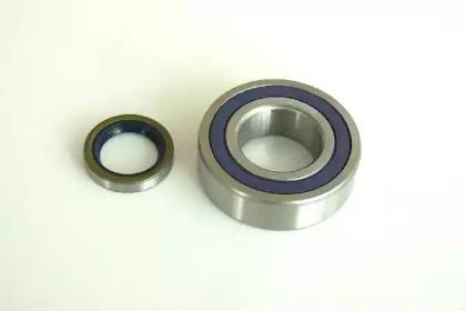 Sct Germany SCP1325 Wheel bearing