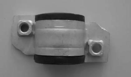 Bugiad BSP20257 Bushing stabilizer Bugiad BSP20257 Bushing stabilizer