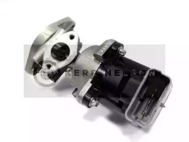 SMPE ERV196 EGR valve