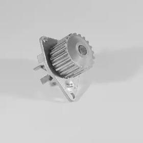 Hepu P813 Water pump