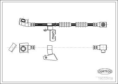 Corteco 19032658 Hose assy brake