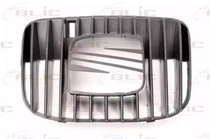 Blic 5601-00-6616992P Grille assy radiator