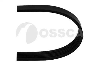 Ossca 12825 Belt v