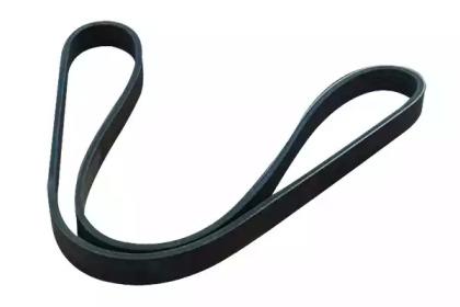 Asam 30692 Belt v Asam 30692 Belt v