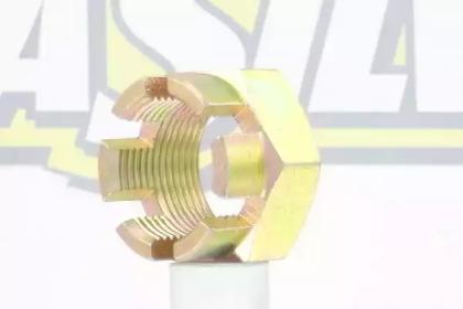 Da Silva E24 Гайка