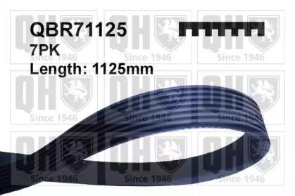 Quinton Hazell QBR71125 Belt v