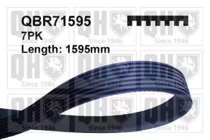 Quinton Hazell QBR71595 Belt v Quinton Hazell QBR71595 Belt v