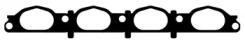 Wilmink Group WG1162442 Gasket graphite Wilmink Group WG1162442 Gasket graphite