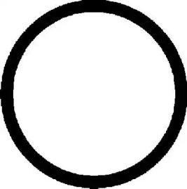 Wilmink Group WG1007876 Gasket graphite