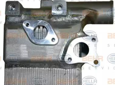 Hella 8MO 376 765-571 Радиатор масляный