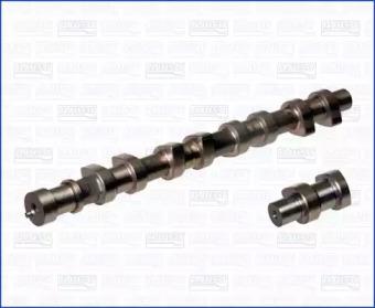 Wilmink Group WG1170862 Camshaft