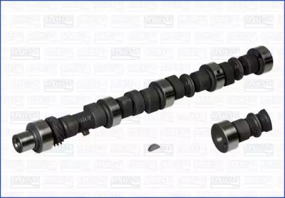 Wilmink Group WG1171037 Camshaft