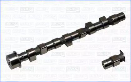 Wilmink Group WG1171376 Розпредвал Wilmink Group WG1171376 Розпредвал