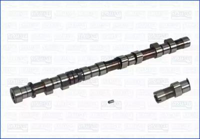 Wilmink Group WG1171622 Распредвал Wilmink Group WG1171622 Распредвал