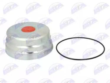 BTA B09SAF003 Кришка маточини колеса BTA B09SAF003 Кришка маточини колеса