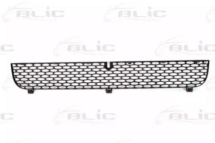 Blic 6502-07-2509990P Grille assy radiator