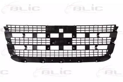 Blic 6502-07-2510990P Grille assy radiator