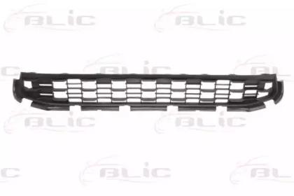 Blic 6502-07-3751993Q Grille assy radiator