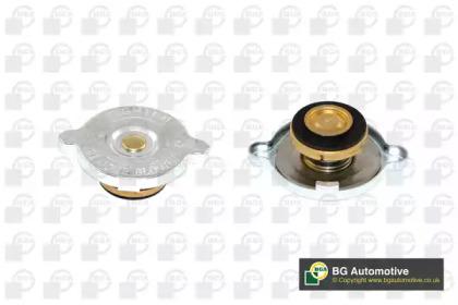 BGA CC3041 Кришка бачка охолоджуючої рідини BGA CC3041 Кришка бачка охолоджуючої рідини