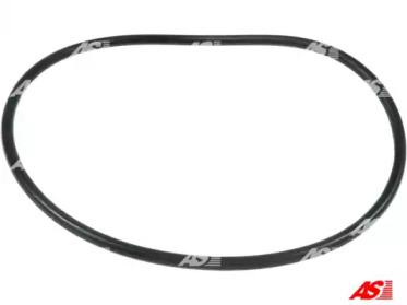 AS-PL SRS1013 Repair kit starter assy