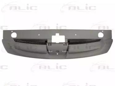 Blic 6502-07-5561990P Grille assy radiator