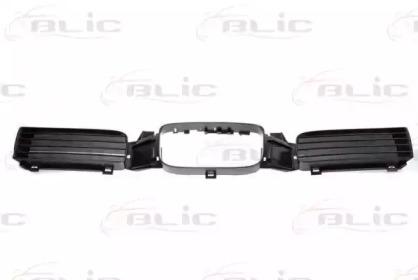 Blic 6502-07-6616993P Grille assy radiator