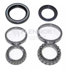 Flennor FR391013 Wheel bearing Flennor FR391013 Wheel bearing