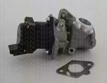 Triscan 881310010 EGR valve