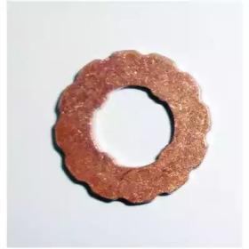 Wilmink Group WG1796300 Шайба форсунки