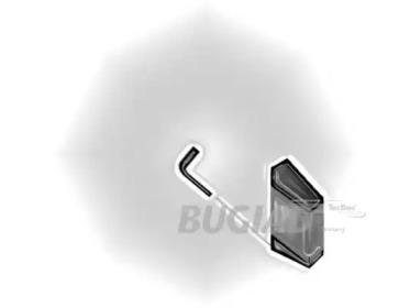 Bugiad 88639 Патрубок інтеркулера Bugiad 88639 Патрубок інтеркулера