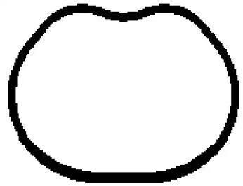 BGA MG8528 Прокладка впускного колектора BGA MG8528 Прокладка впускного колектора