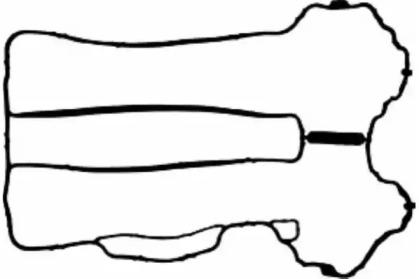 Payen JM5121 Прокладка кришки клапанів