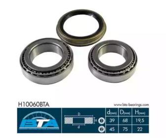 BTA H10060BTA Wheel bearing