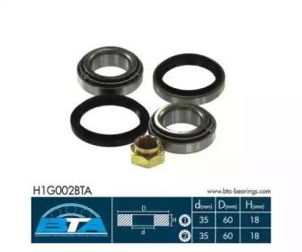 BTA H1G002BTA Wheel bearing BTA H1G002BTA Wheel bearing