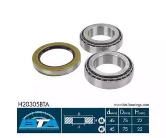 BTA H20305BTA Підшипник маточини колеса BTA H20305BTA Підшипник маточини колеса