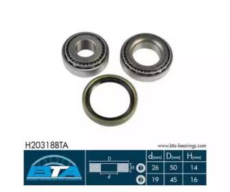 BTA H20318BTA Wheel bearing