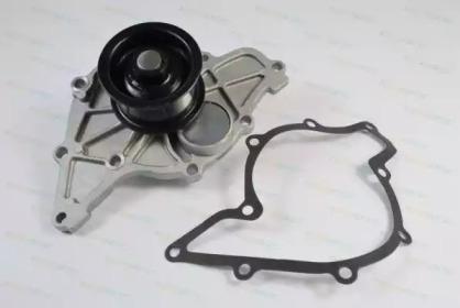 Thermotec D1A008TT Water pump