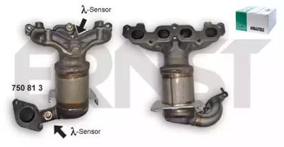 Ernst 750813 Katalysato